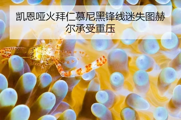 凯恩哑火拜仁慕尼黑锋线迷失图赫尔承受重压